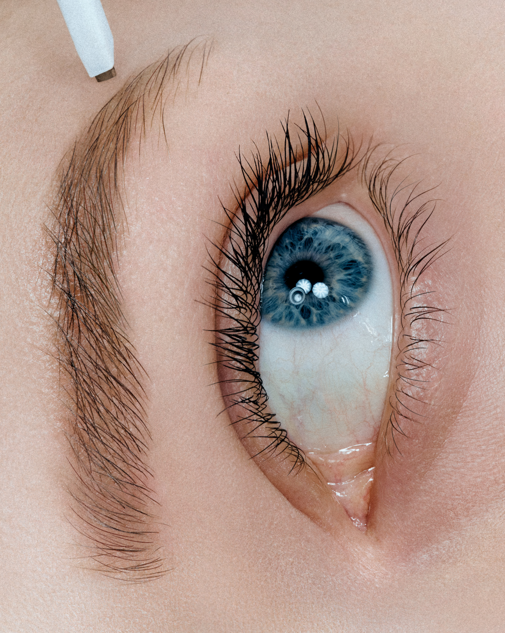 SRC_830E33D69D4F2CF7 Boy Brow Arch