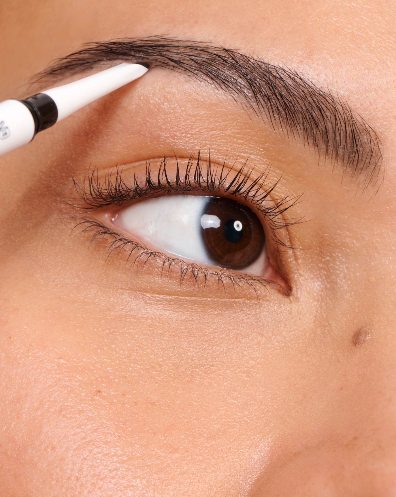 SRC_C0A01038C71572A4 The Brow Kit