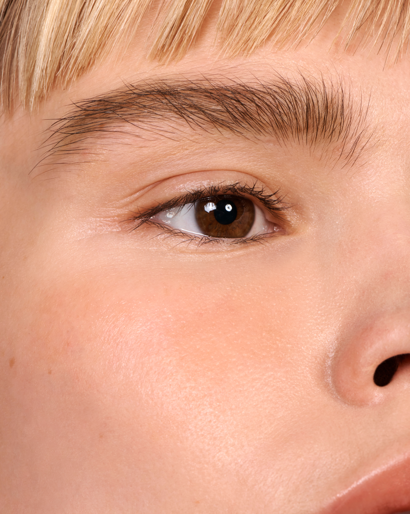 SRC_067B7F3663DD3F8C Boy Brow Arch