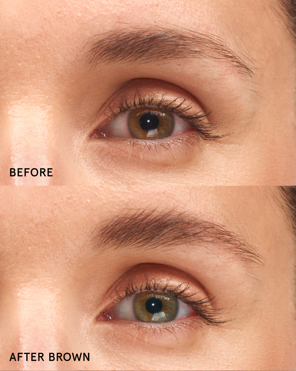 SRC_D08E343EF14C7B75 Boy Brow Duo
