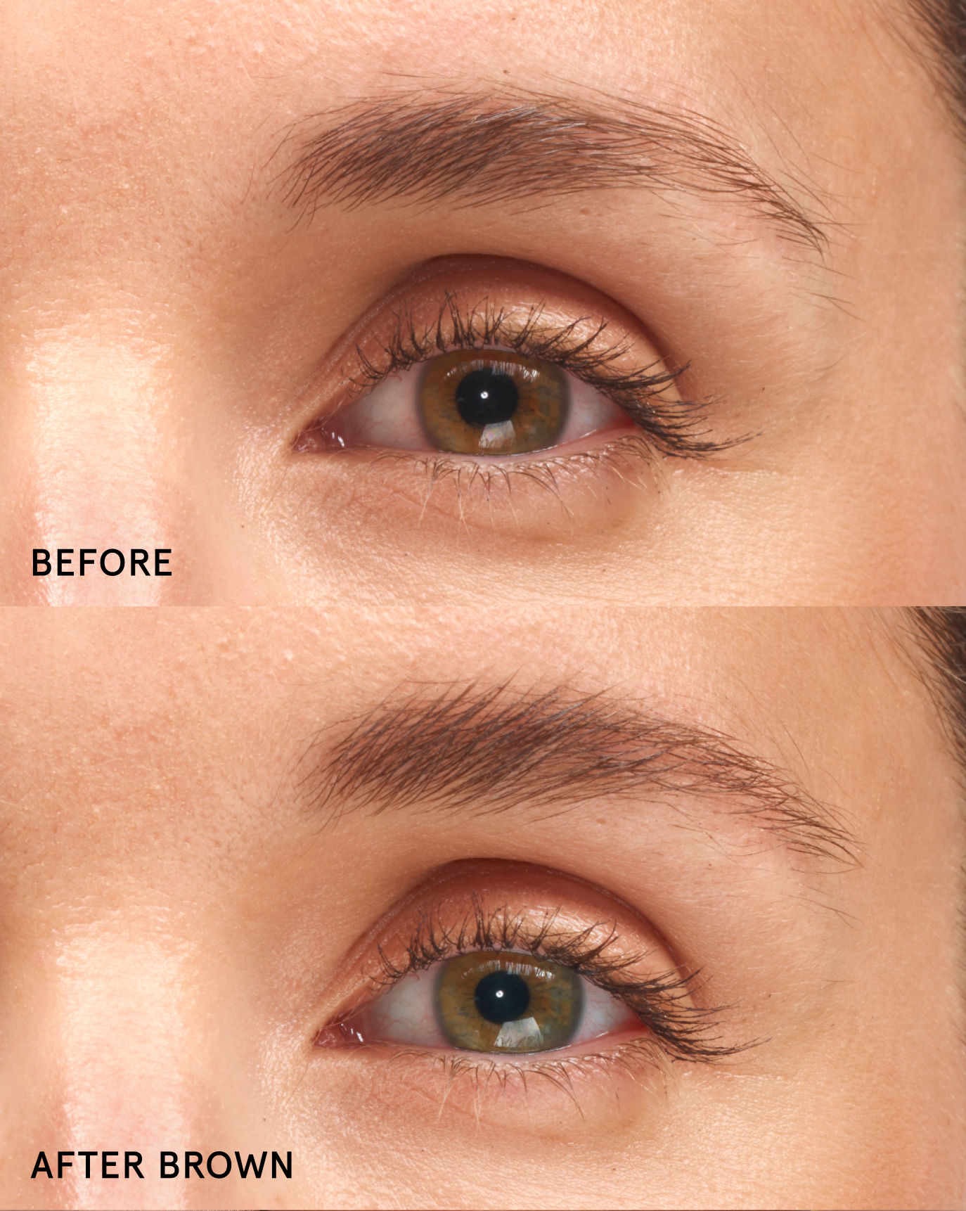 SRC_D08E343EF14C7B75 Boy Brow Duo